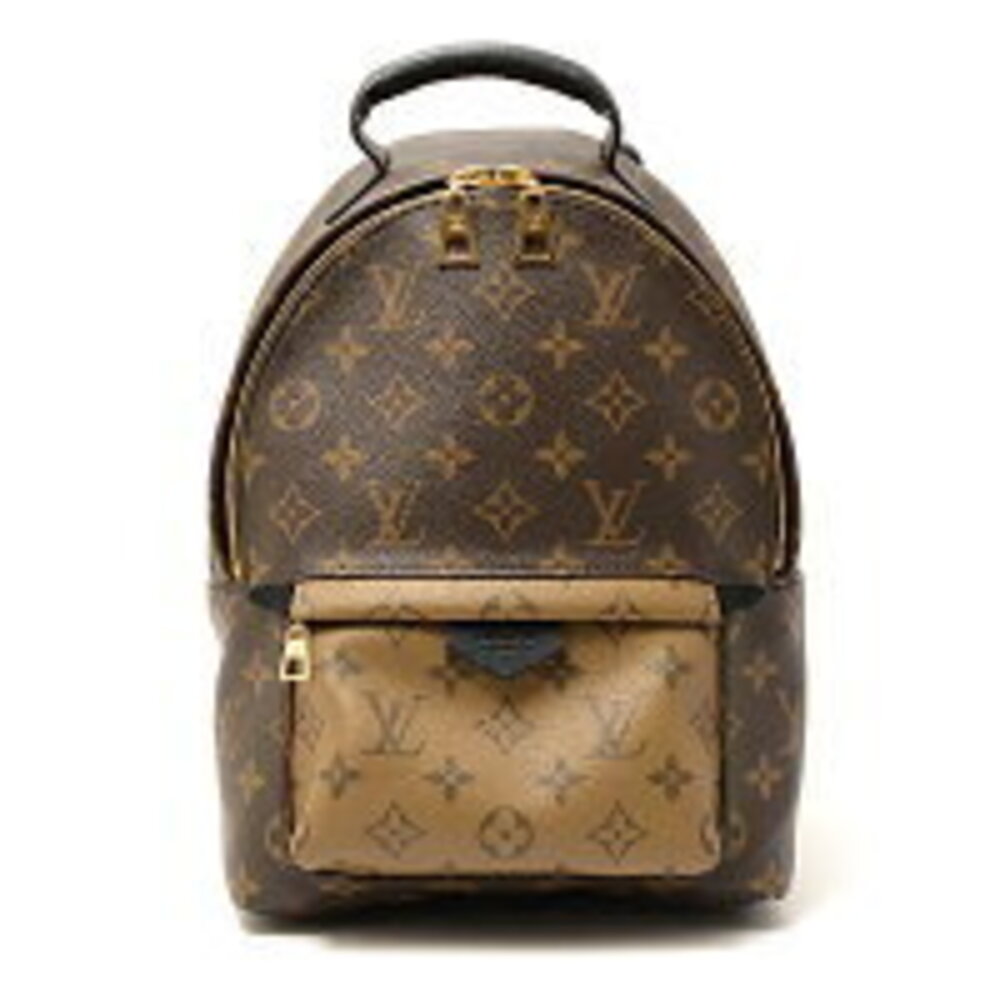 Louis Vuitton Monogram Reverse Palm Springs Backpack